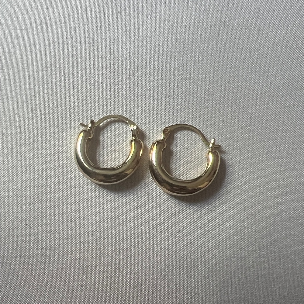 Elegant Gold Hoop Earrings